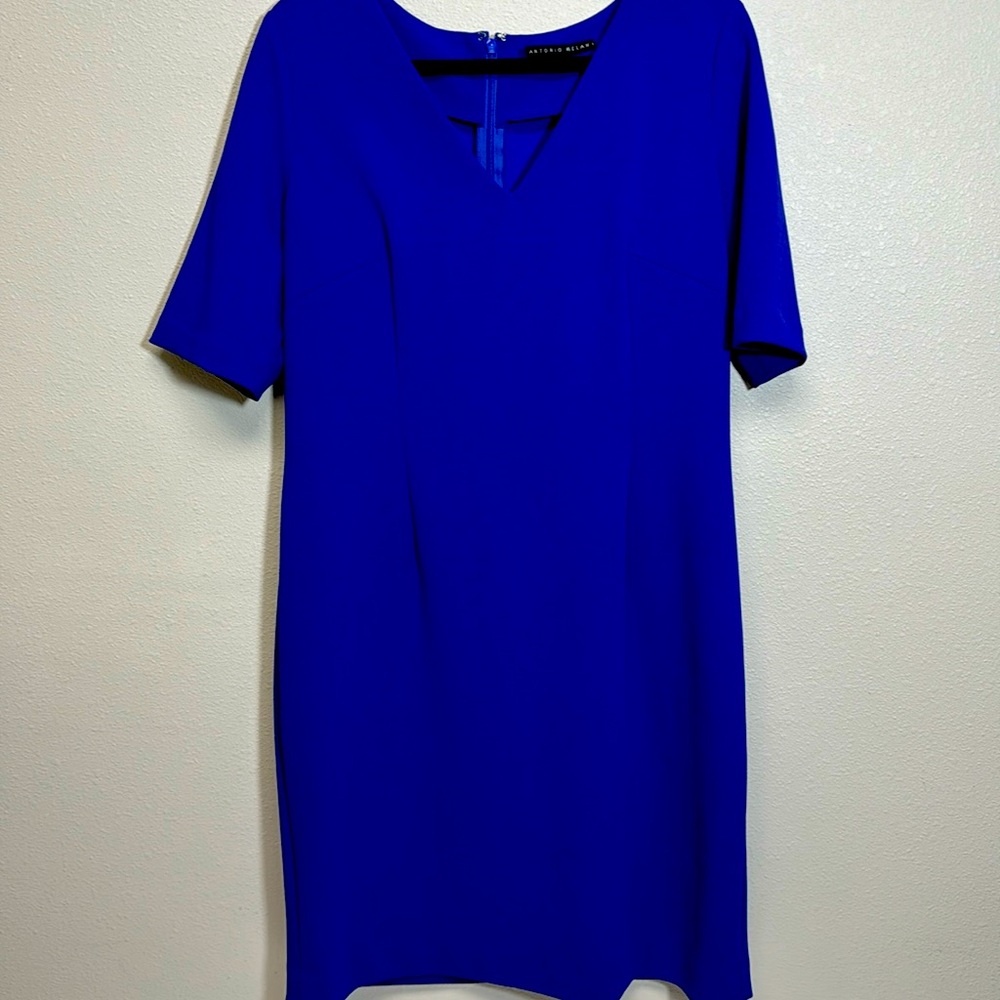 Antonio Melani Women’s Size 14 Blue short sleeve dress.